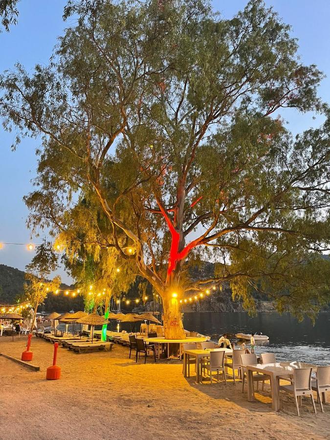 Marimare Beach & Bungalow مرمريس المظهر الخارجي الصورة